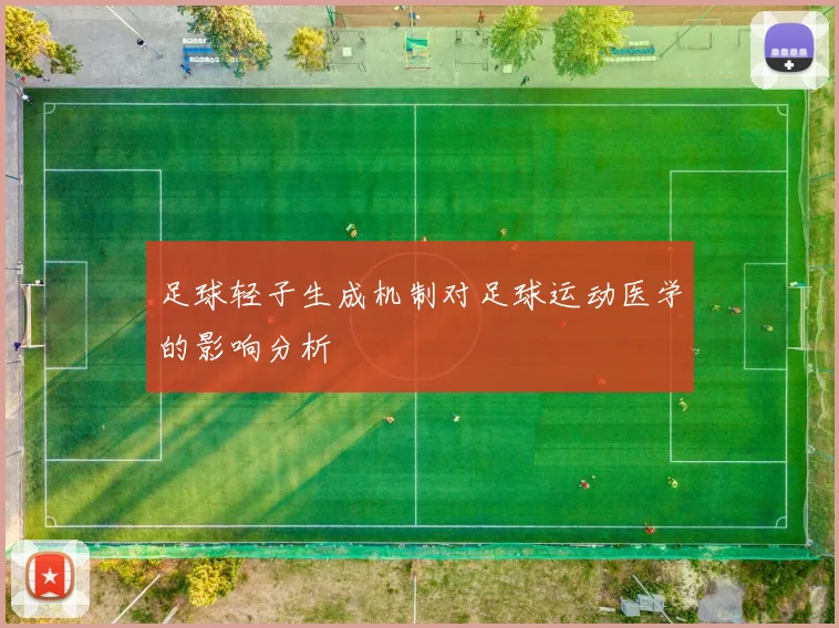 足球轻子生成机制对足球运动医学的影响分析