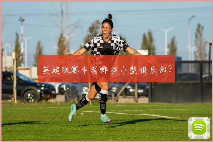 英超联赛中有哪些小型俱乐部？