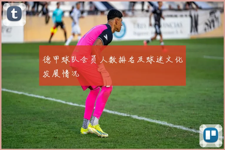 德甲球队会员人数排名及球迷文化发展情况