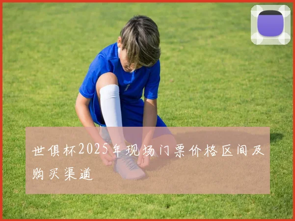 世俱杯2025年现场门票价格区间及购买渠道