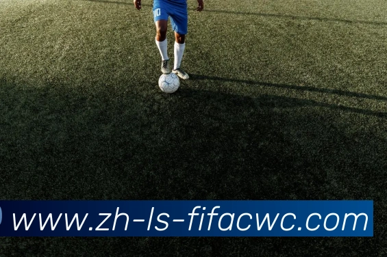 世界杯在线观看平台生态图