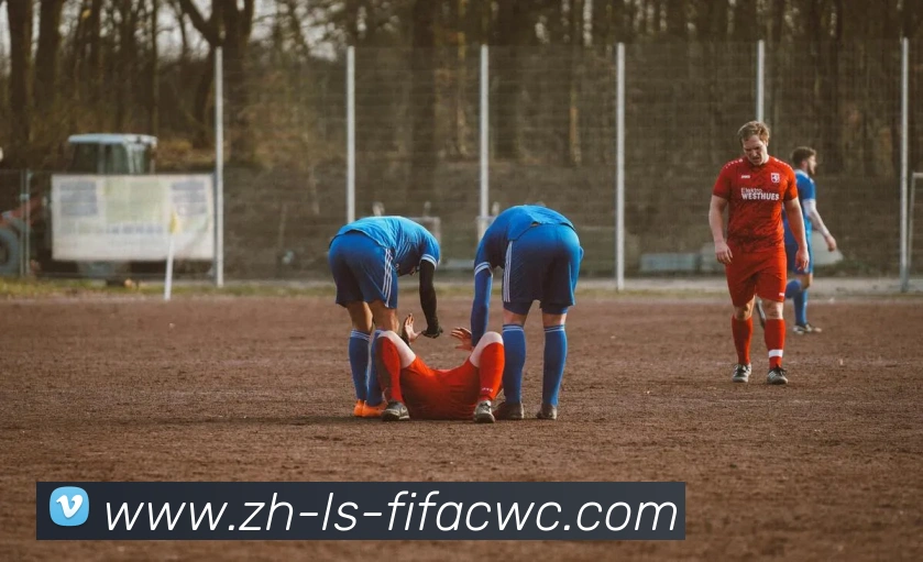 世界杯在线观看APP 封面图