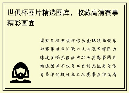 世俱杯图片精选图库，收藏高清赛事精彩画面